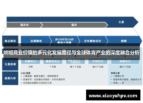 姚明商业价值的多元化发展路径与全球体育产业的深度融合分析